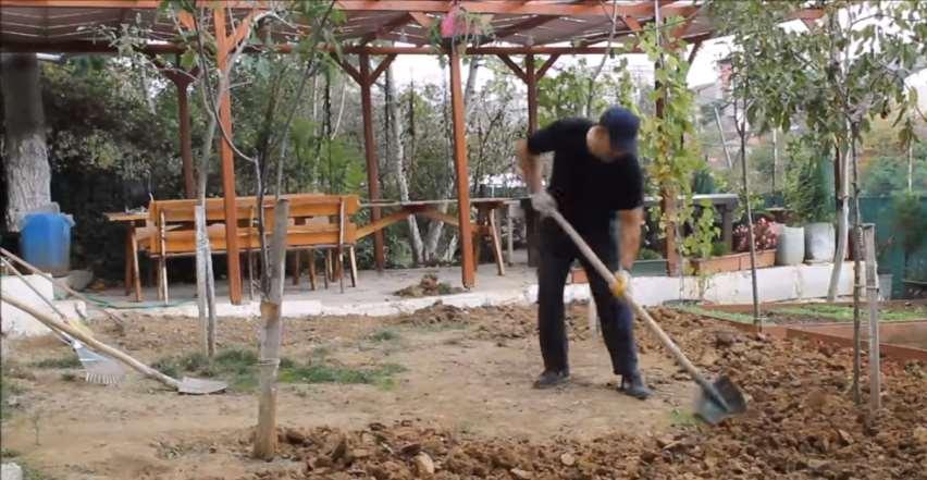 Sert toprak, bel küreği ile belleme işlemi yapılarak yumuşatılır.