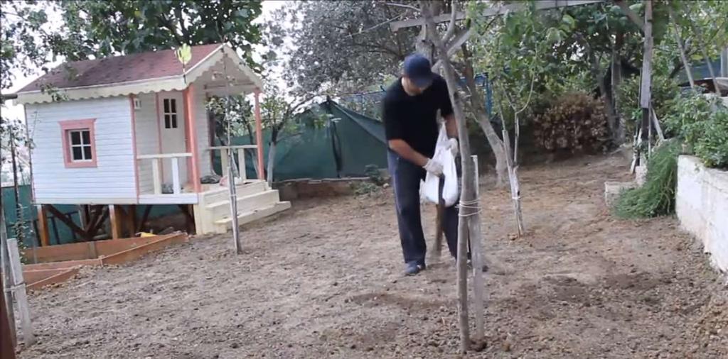 Çim tohumlarının üzeri maksimum 2 cm kalınlığında en az bir yıl yanmış, elenmiş hayvansal gübre veya torf ile kapatılmalıdır.