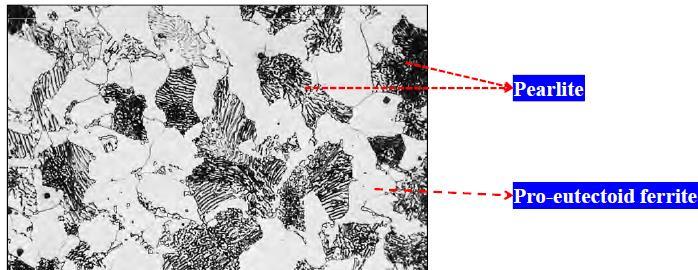 Ötektoid Altı Bileşime Sahip Fe-Fe 3 C Alaşımının Katılaşması Bu bölgede çeliğin iç yapısında sadece perlit ve