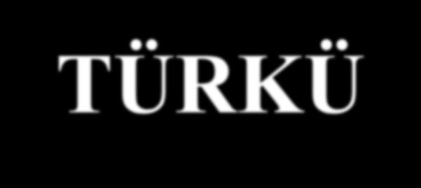TÜRKÜ Türkçe söylenmiş şiir anlamına gelen "Türkü" nün "Türkî" sözünden geldiği görüşü kabul edilmiş bir görüştür. Yani, "Türk" kelimesine Arapça "î" ilgi ekinin getirilmesiyle vücut bulmuştur.