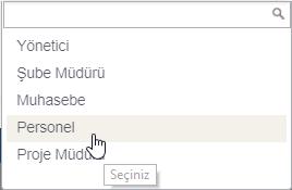 Rol Adını Muhasebe Yöneticisi olarak yazdık. Rol Türünde Proje Müdürü olarak seçtik. Muhasebe Yardımcısının Rolünü Ekleyelim. Rol Adına Muhasebe Yardımcısı yazdık.