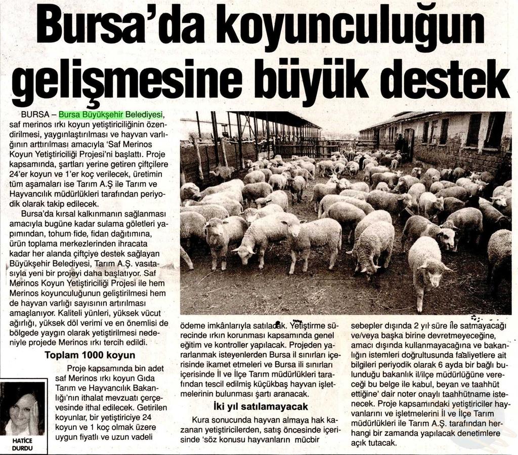 BURSADA KOYUNCULUGUN GELISMESINE BÜYÜK DESTEK Yayın Adı : Önce