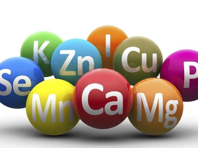 İnsan vücudunda bulunan minerallerin bazı özellikleri; Sindirilmeden direk olarak kana alınırlar. Enzimlerin yapısına katılırlar. Vitaminlerle birlikte düzenleştirici olarak görev yaparlar.