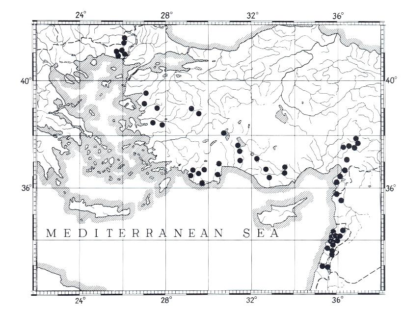 bulunan popülasyonların restore edilmesi büyük önem taşımaktadır (Küçük ve ark. 2008). Geyik elması (Malus trilobata C.K. Schneid.