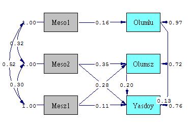 Ocak/January 2015, Cilt/Vol: 11, Sayı/Num: 1 sonuçları mutluluğun bireyin bağışıklık sistemini güçlendirdiğini, enerji ve yaratıcılığını artırdığını, sosyal ilişkilerinde daha çok tercih edilmesini