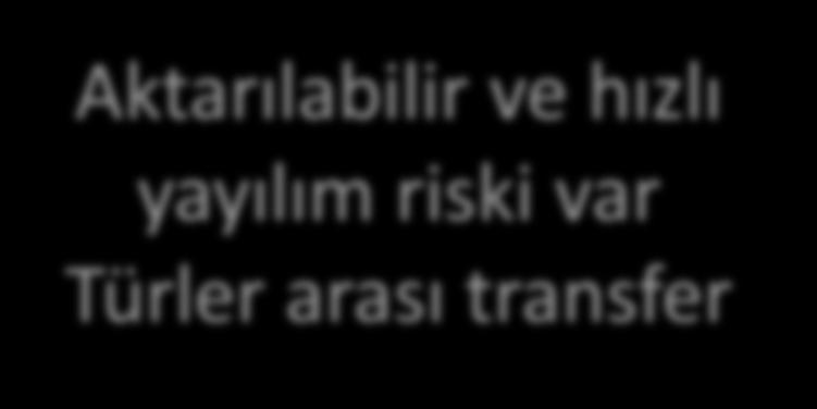 mcr geni LPS nin Lipid A kısmına PEtN eklenmesi ile direnç Ocak 2016 19 ülkeden bildirildi SENTRY 2014-2015 E. coli ve K.