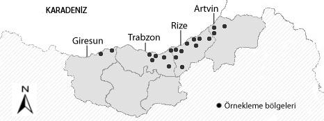 Çay Yaprak ve Topraklarının Fe, Cu, Zn, ve Mn Durumları bakır, çinko ve mangan konsantrasyonları belirlenerek, çay topraklarının ve çay bitkisinin mikro element durumlarının ortaya konulması ile bu