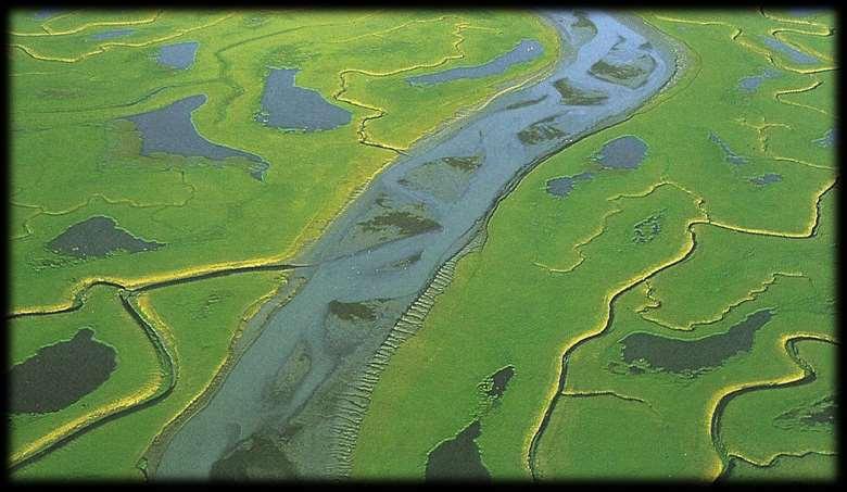 Mississippi delta düzlüğündeki kanallardan taşınan çökellerin kanalı tıkamasıyla her iki yanda