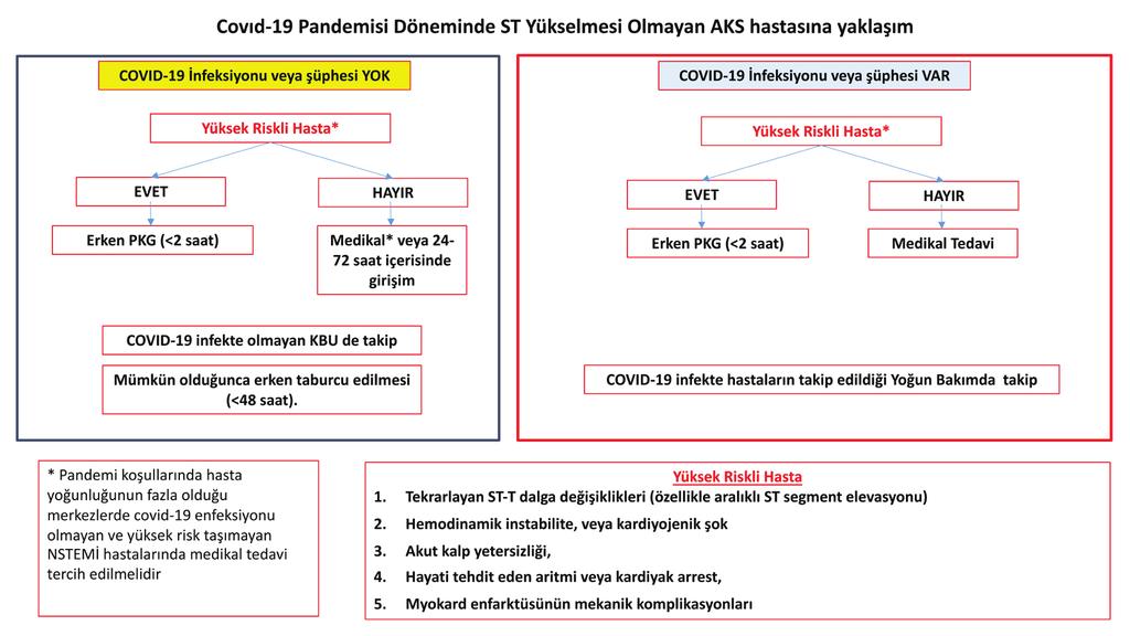 COVID-19 pandemisi ve kardiyovasküler hastalıklar konusunda bilinmesi gerekenler 29 Şekil 3. COVID-19 pandemisi döneminde STYME hastasına algoritmik yaklaşım.