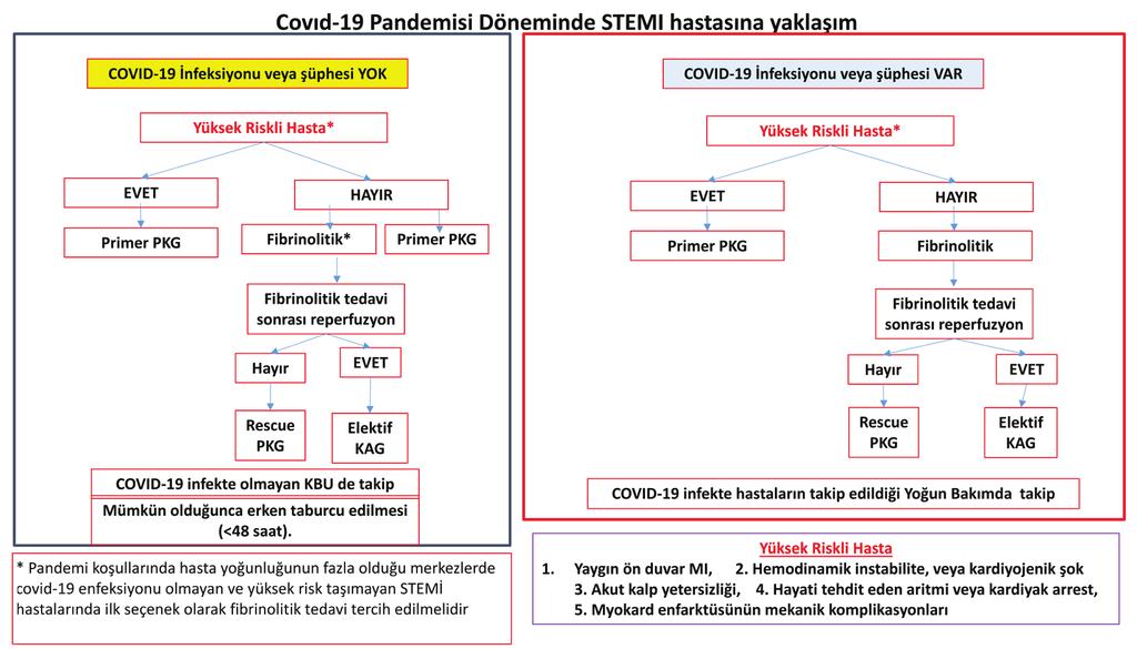 COVID-19 pandemisi döneminde ST yükselmesi olmayan akut koroner sendrom hastasına algoritmik yaklaşım.