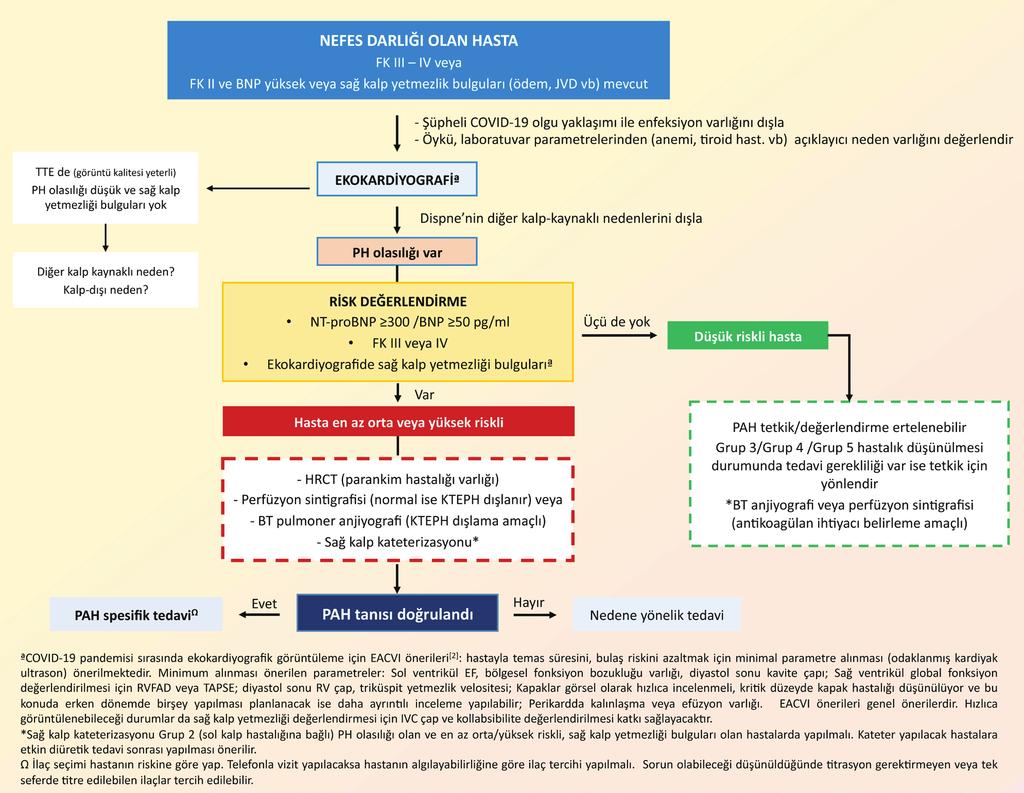 COVID-19 pandemisi ve kardiyovasküler hastalıklar konusunda bilinmesi gerekenler 51 görüntüleri alınabilir. Perfüzyon görüntüleme normal ise KTEPH dışlanmış olacaktır.
