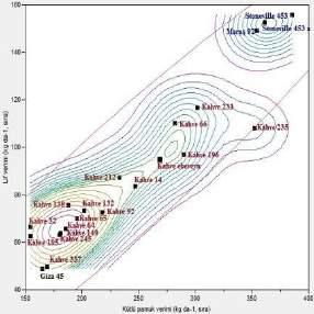 The relationship among ginning turnout and fiber yield in F 9 generation Şekil 11.