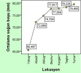 Lokasyon ortalamaları arasındaki bu farklılığın ise Yokuş lokasyonunun diğer tüm lokasyonlardan anlamlı bir şekilde düşük soğan ağırlığına sahip olmasından kaynaklanmaktadır.