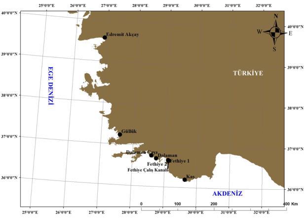 2.4. İstatiksel analizler Kuzey Ege Denizi ve Akdeniz den kistlerin tür zenginliğini hesaplamak için her istasyona ait Shannon-Wiener çeşitlilik indeksi hesaplandı (Özkan, 2016). 3. Bulgular Şekil 6.