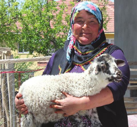 Şahsene Hanım, eşinin geçirdiği sağlık problemleri sonrası üç çocuğunun bakımı için gerekli masrafları karşılamak adına köyde bir başkasına ait kurbanlık hayvanları besleyip otlatarak hasta kocasına