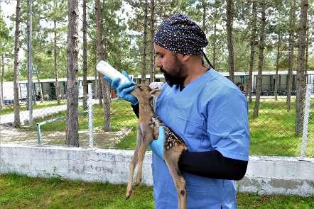 Osmancýk ilçesine baðlý Çampýnar Köyünde vefat eden eðitimci yazar Salim Savcý için cenaze töreni düzenlendi.