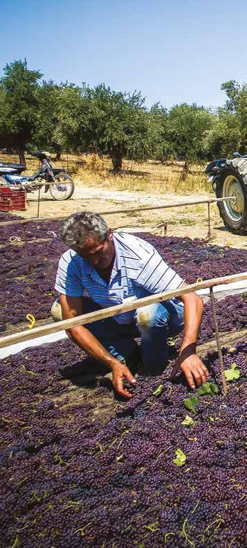 1. HAVA, ÇEVRE VE BARINMA KOŞULLARI Tarımsal üretimde çalışan işçilerin çalıştıkları ve dinlendikleri ve barındıkları ortamlarda nem, rüzgar, toz fırtınaları, güneş ışınlarının zararlı etkisinden,