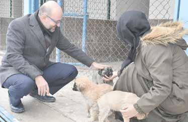 Konaklama oteli sayesinde onların soğuk günlerde hastalıktan ölmemeleri için bakımları yapılırken aynı zamanda gerekli olan aşıları ve tedavileri de yapılıyor.