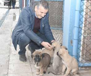 gerçekleştiriyorlar. Yavrularımızın her türlü bakımı yapıldıktan sonra ya sahiplenmelerini sağlayacağız ya da doğal ortamlarına bırakacağız.