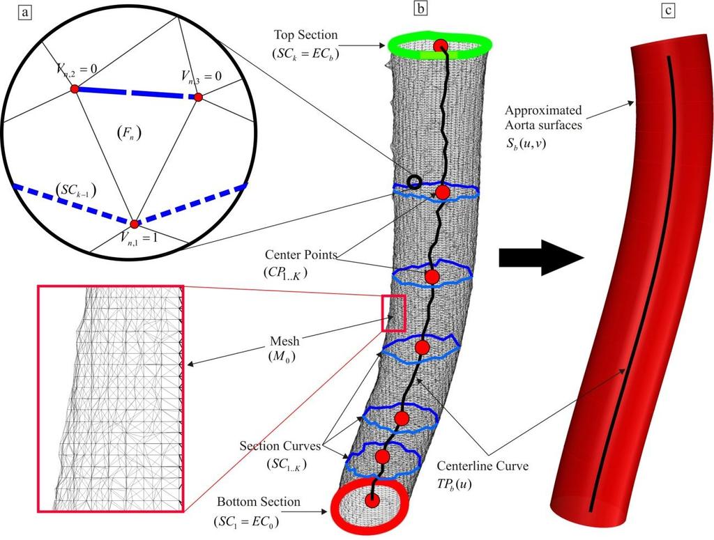 To identify the boundaries of the STL model of the vessels, edge curves EC = {EC b b=0..b are defined as the end sections (bottom and top curves), as shown with red and green curves in Figure 2.