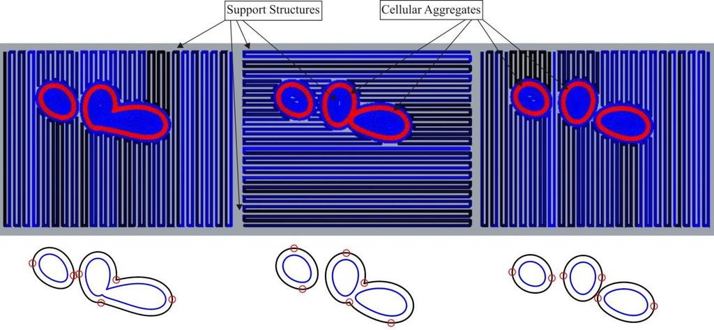 Hence, the search process continues dynamically and a zigzag patterned support curves are generated for subsequent layers.