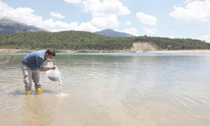 Tarım ve Orman akanlığı Akdeniz Su Ürünleri Araştırma, Üretme ve Eğitim Enstitüsü Müdürlüğü Kepez Üretim tesisleride üretilen 10 bin yavru sazan balığı düzenlenen törenle Aziziye Göleti ne bırakıldı.