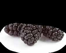 KARADUT ŞERBETİ Siyah sağlık ve zindelik Bahar gelince Anadolu coğrafyasının üzerinde yaşayanlara sunduğu en güzel meyvelerden biri de karaduttur.