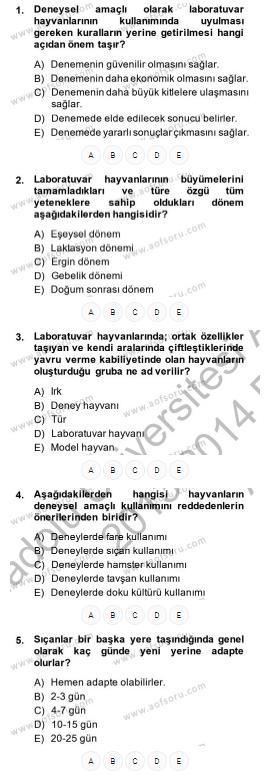 Örnek Sorular Cevap Anahtarı 1-2-c 3-c 4-e 5-c Kaynak Kitap Yardımcı