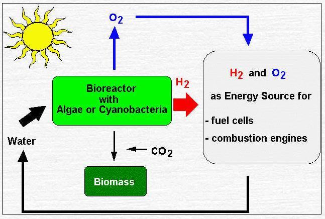 1.1.3 Biomass Gasification or Reforming Method Biomass is a potential renewable, organic energy resource and it can be converted to heat, coal, bio-oil, methanol, ethanol, and hydrogen [4].