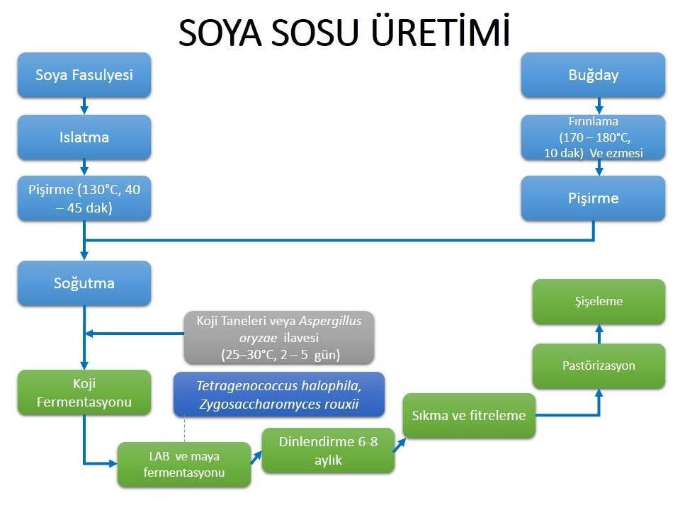 Şekil. 7.1. Soya sosu üretim şeması (Bamforth ve ark. 2005, Fukushima 2004) Fermente soya sosu üretiminde ikinci adım salamurada fermentasyon işlemdir.