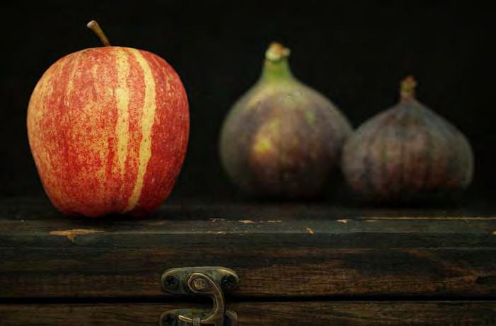 Ruhunda savaş dolaşan meyveler: Elma ve incir Doç. Dr.