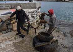 Kooperatifleri Birliği ve kamu kurum ve kuruluşları iş birliğinde, 2020 yılında imzalanan protokol çerçevesince Muğla da 13 balıkçı barınağında deniz dibi temizliği yapılıyor.