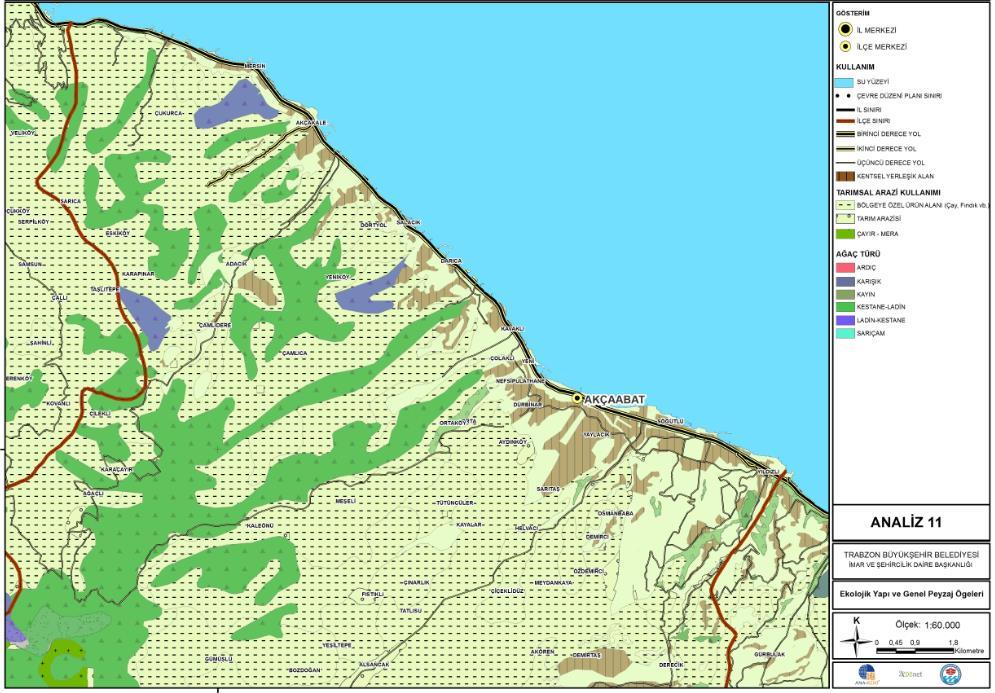 HARİTA 17: AKÇAABAT İLÇESİNİN EKOLOJİK YAPI ANALİZİ Çalışma alanın ekolojik yapısı incelendiğinde; konut alanları