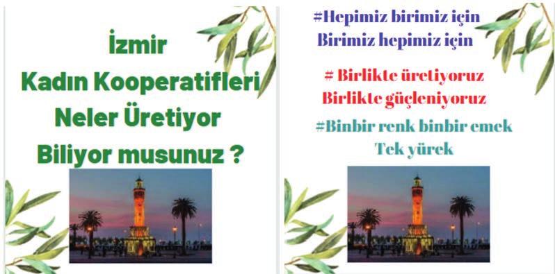 Derinlemesine İnceleme Amaç Nasıl? Başarı Faaliyetler Kriterleri 2.