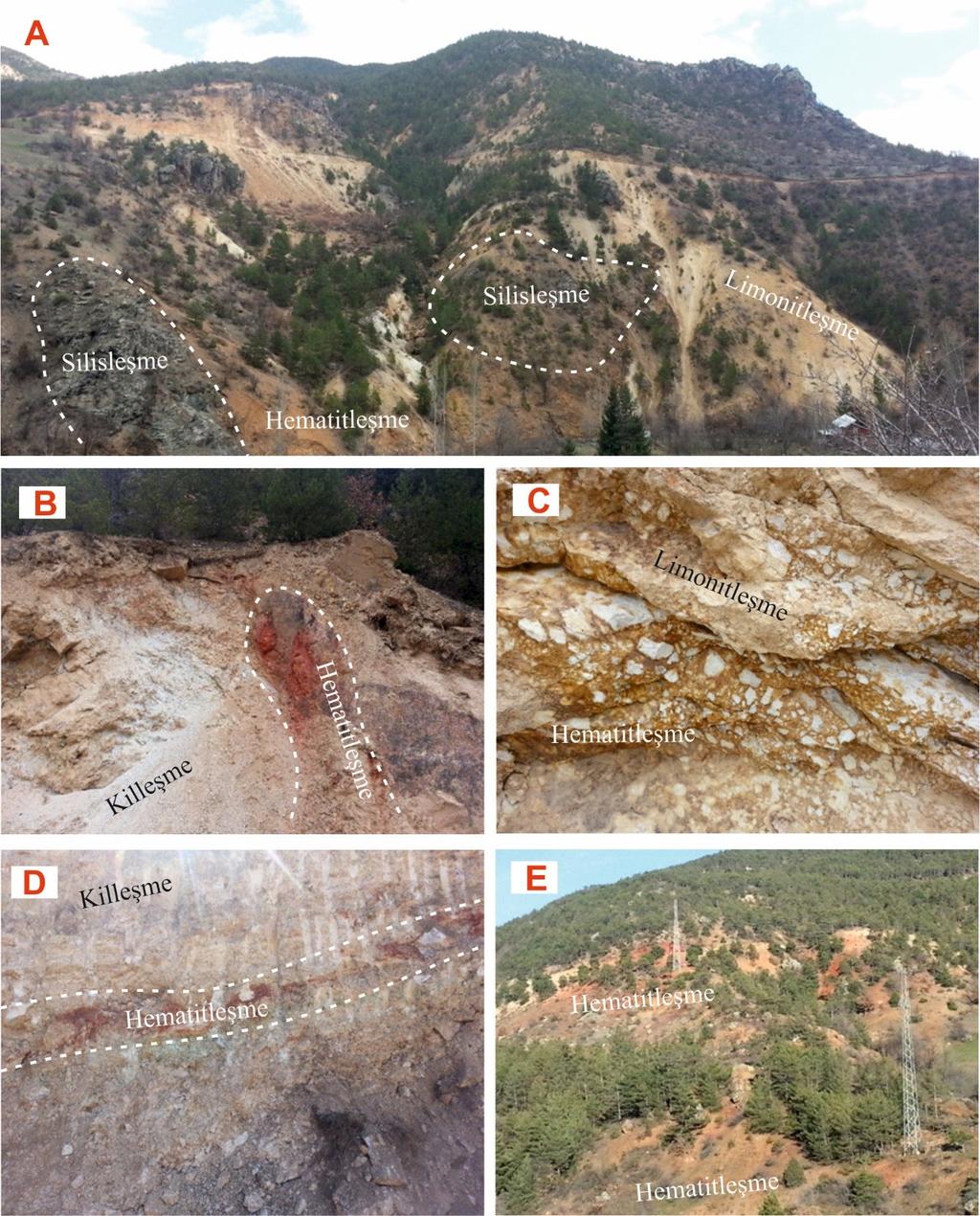 Şekil 2. Canca-Aktutan alterasyon sahası (A: Genel görünüm; B: Hematitleşme, limonitleşme, silisleşme ve killeşme; C, D ve E: Hematitleşme ve limonitleşme). Figure 2.