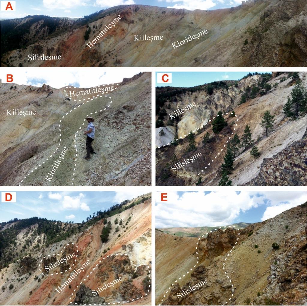 Şekil 3. Leriköy (Yitirmez) - Dölek alterasyon sahası (A: Genel görünüm; B: Kloritleşme; C: Killeşme ve limonitleşme; D: Hematitleşme ve silisleşme; E: Killeşme). Figure 3.