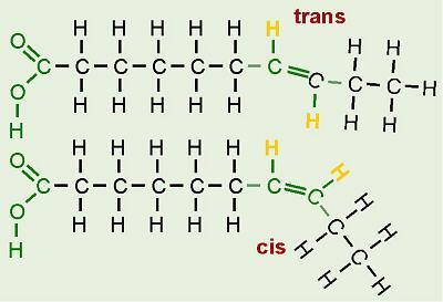 Cis-Trans Yağ Asitleri Doymamış yağ asidi karbon zincirleri içindeki çift bağların bulunduğu yerdeki değişiklikler, izomerleri oluşturur.