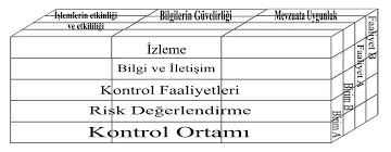 Kontrol ortamı, işletme üst yönetiminin işletmeyi kontrol etmede temel anlayışı, sorunlara bakışı, sorunları çözmede yaklaşımları ve ahlaki değerlere verdiği önemle