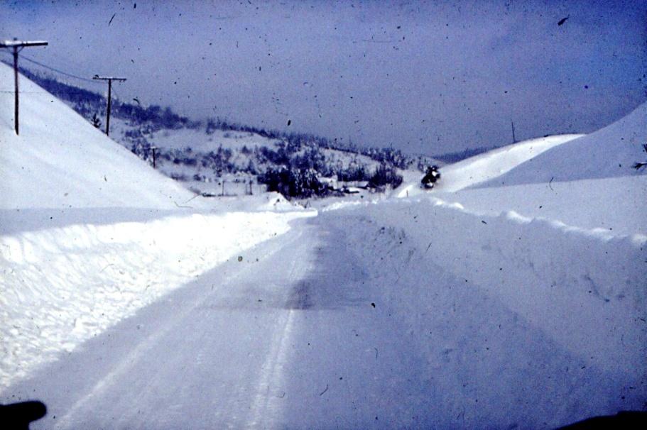 yolu,1995