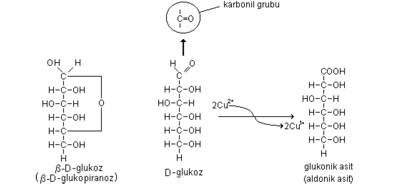 61 2- Alkalilerle Reaksiyonları: a) Zayıf alkalilerin etkisi: Glukoz çözeltisi üzerine 0.05N alkali çözeltisi eklenirse ortamda aynı oranda mannoz, glukoz ve früktozun oluştuğu görülür.