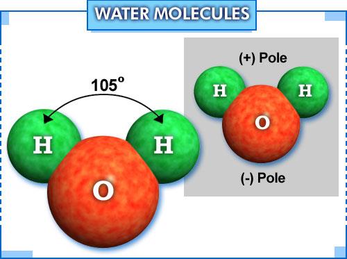 Suyun Molekül Yapısı 11 Su molekülü, dipol karakterdedir; çevresindeki