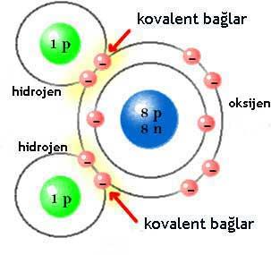 Su molekülleri, dipol karakterde oluşları nedeniyle hem katı halde hem de sıvı halde iken, birbirlerine hidrojen köprüsü bağlarla bağlanma yeteneğindedirler; bir su molekülünün bir hidrojen çekirdeği