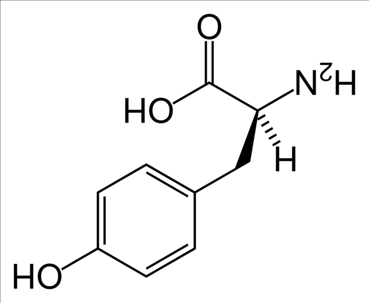 1e. Kükürtlü amino asitler S SİSTEİN