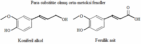 bileşiklerin