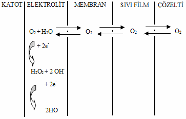 Şekil-2.8. : Oksijenin reaksiyon ortamından katoda ulaşana kadar karşılaştığı difüzyon engellerinin şematik gösterimi (Akyılmaz, 1996). 2.6.4.