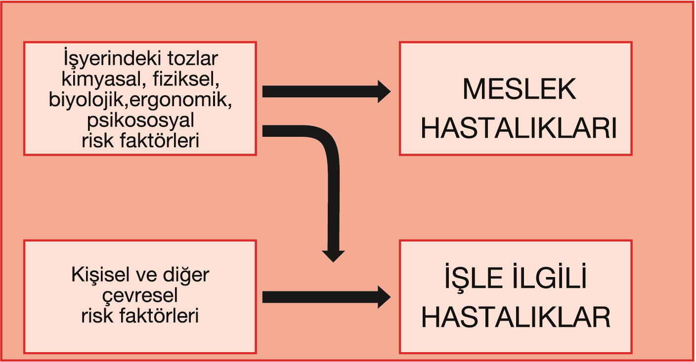 (Şekil 2). Yapılan iş, hastalığa neden olur, ağırlaştırır, hızlandırır ya da alevlendirir, çalışma kapasitesini azaltabilir.