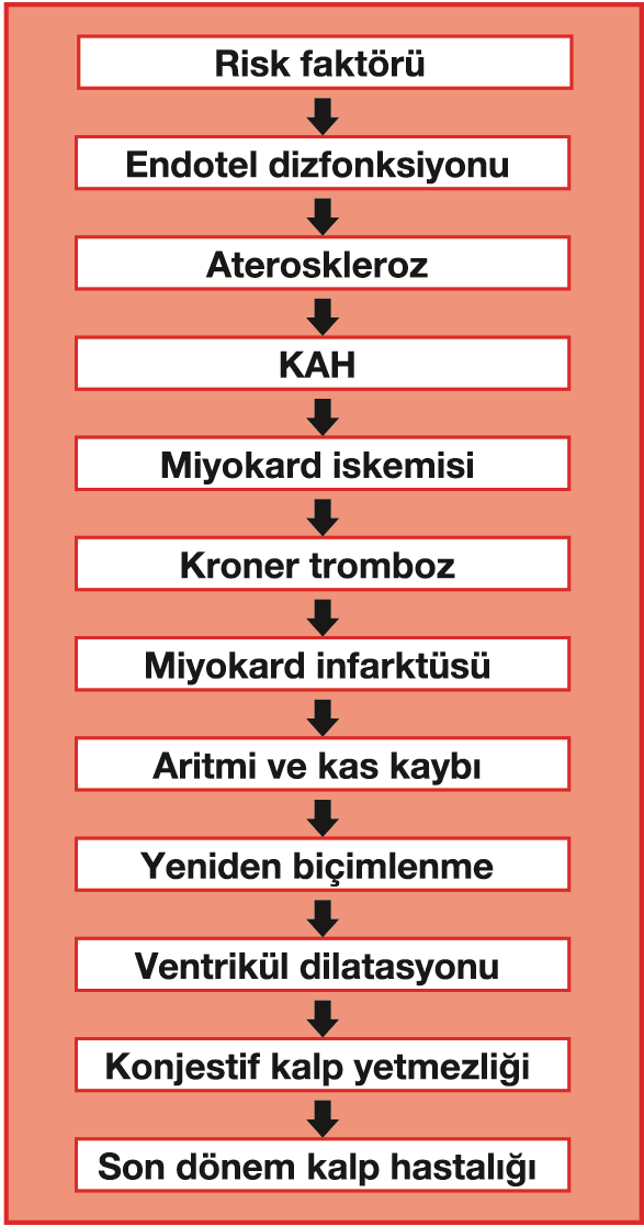 değerler bilinmiyorsa, kan basıncının en az 160 mm Hg ve TK/HDL-K oranının da en az 6 olduğu varsayılmalıdır.