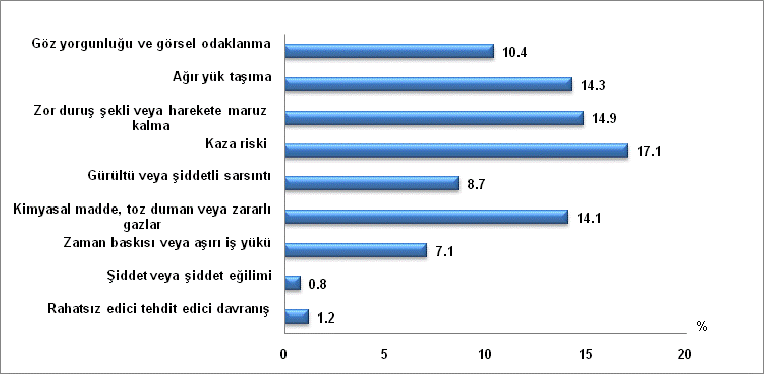 iii) Çalışma Hayatında Fiziksel ya da Ruhsal Sağlığı Etkileyen Elverişsiz Faktörler İstihdamda olan kişinin kendi düşüncesine göre işyerindeki fiziksel ve ruhsal sağlığını olumsuz yönde etkileyen