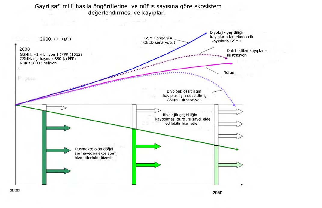 İklim değişmelerinin gelecek yüzyıl sırasında Avrupa ekosistem hizmetlerini büyuk bir ölçüde azaltacağı sayılmaktadır (3. resim).