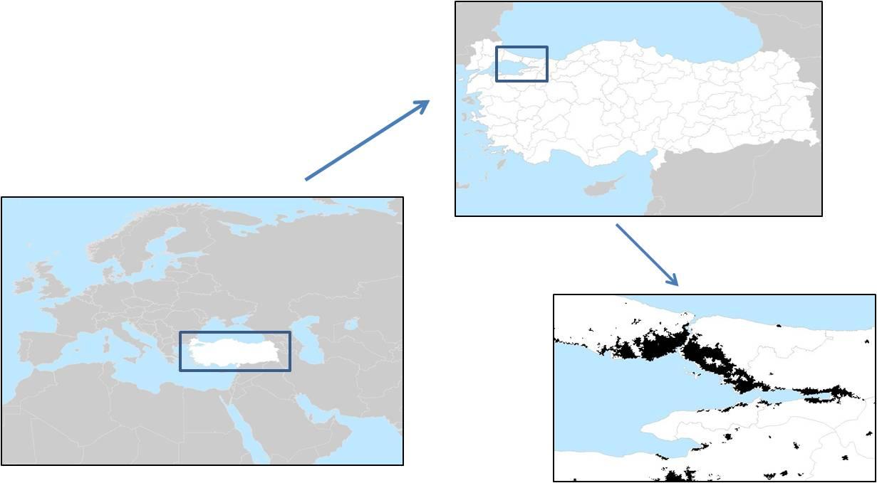 Vizyonun, hem yerel, bölgesel, ve ulusal yönetimler arasında, hem de Türkiye ile komşu